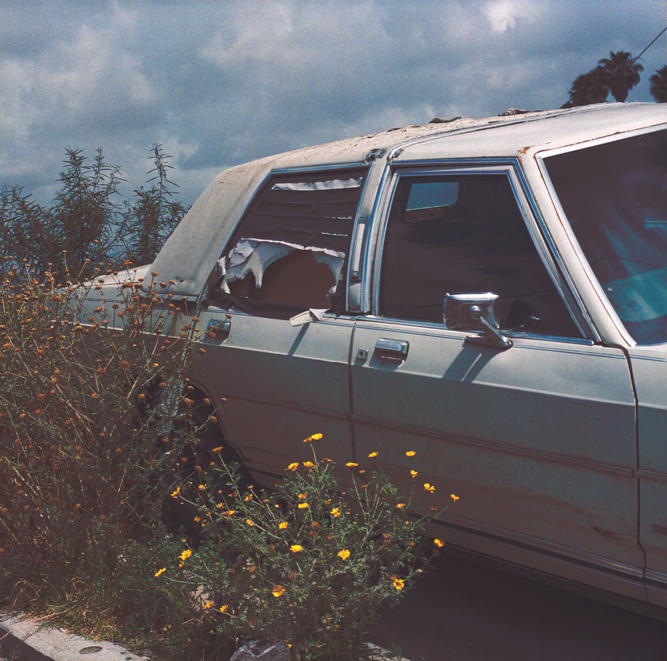 Vieille voiture blanche au toit déchiré, abandonnée parmi des fleurs jaunes sauvages, sous un ciel nuageux